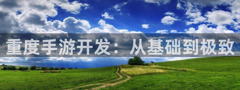 如何玩庄闲：重度手游开发：从基础到极致