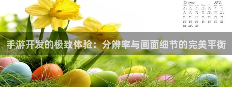 庄闲游戏规则详解及注意事项：手游开发的极致体验：分辨率与画面
