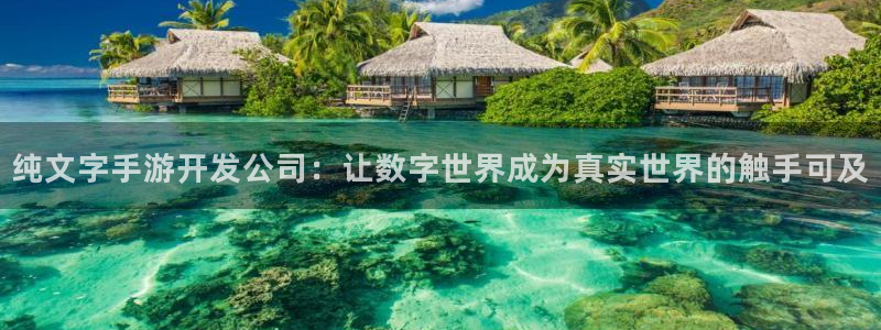 庄闲是什么玩法：纯文字手游开发公司：让数字世界成为真实世界的