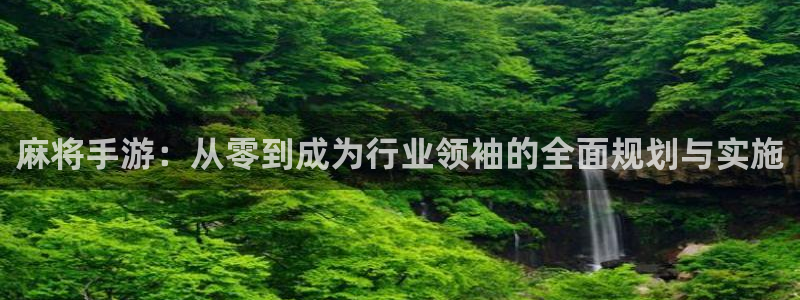 庄闲闲庄庄闲公式：麻将手游：从零到成为行业领袖的全面规划与实