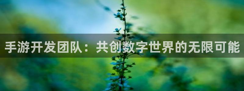 庄闲和游戏机有大满贯吗：手游开发团队：共创数字世界的无限可能