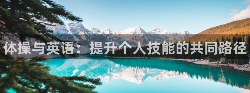 xc体育