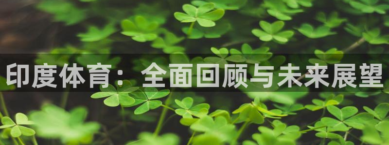 xc体育app官方网站