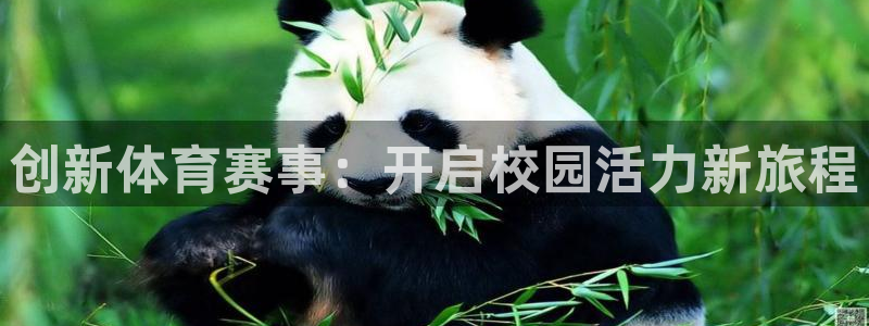 xc体育：创新体育赛事：开启校园活力新旅程