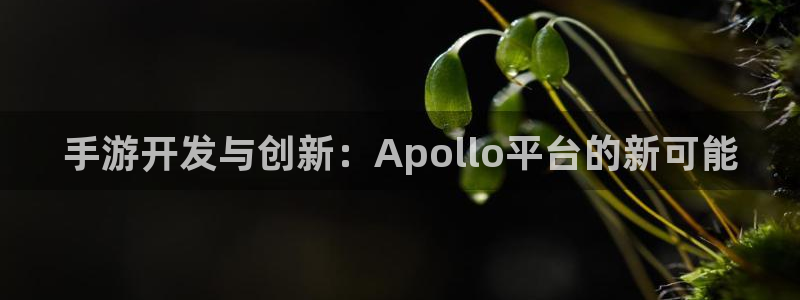 庄闲游戏平台：手游开发与创新：Apollo平台的新可能